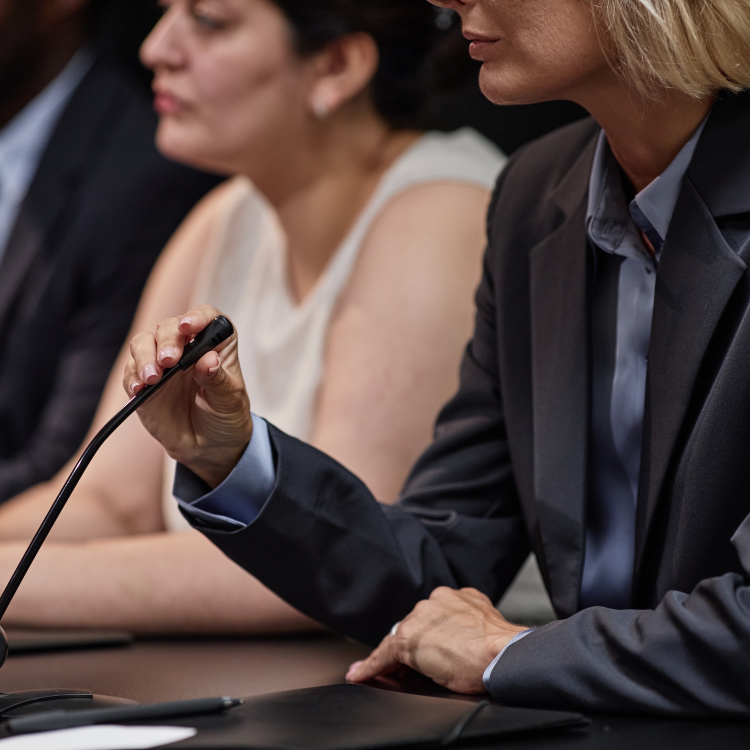 traducción simultenea en leon